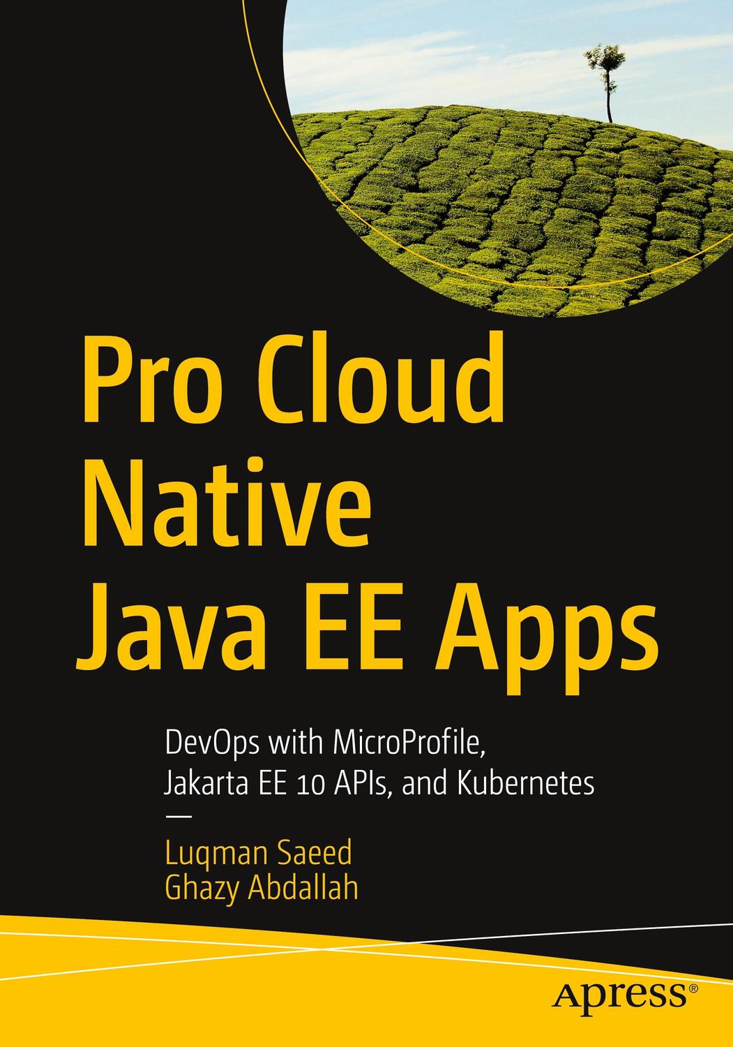 Cover: 9781484288993 | Pro Cloud Native Java EE Apps | Ghazy Abdallah (u. a.) | Taschenbuch
