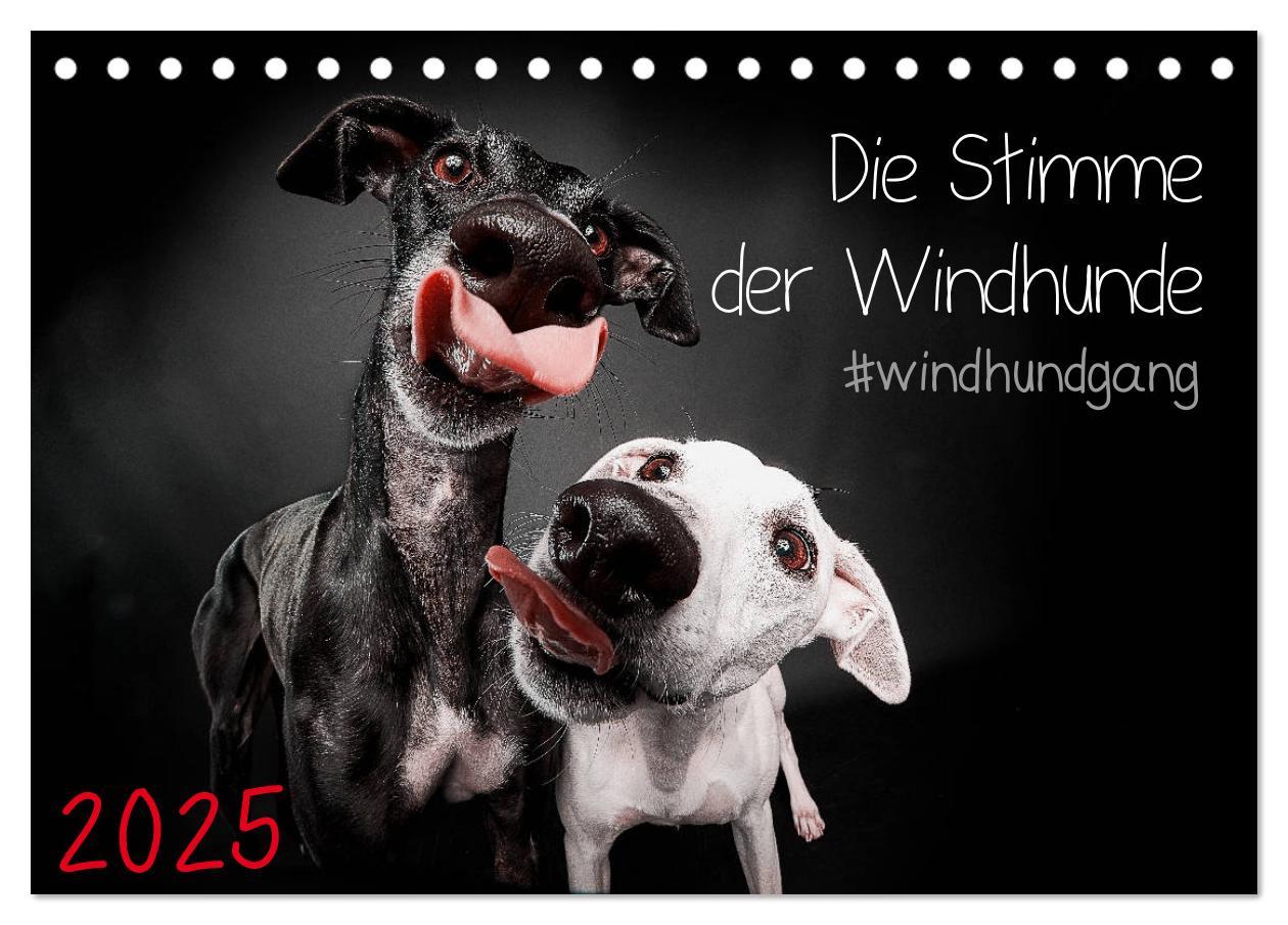 Cover: 9783435227716 | Die Stimme der Windhunde (Tischkalender 2025 DIN A5 quer), CALVENDO...