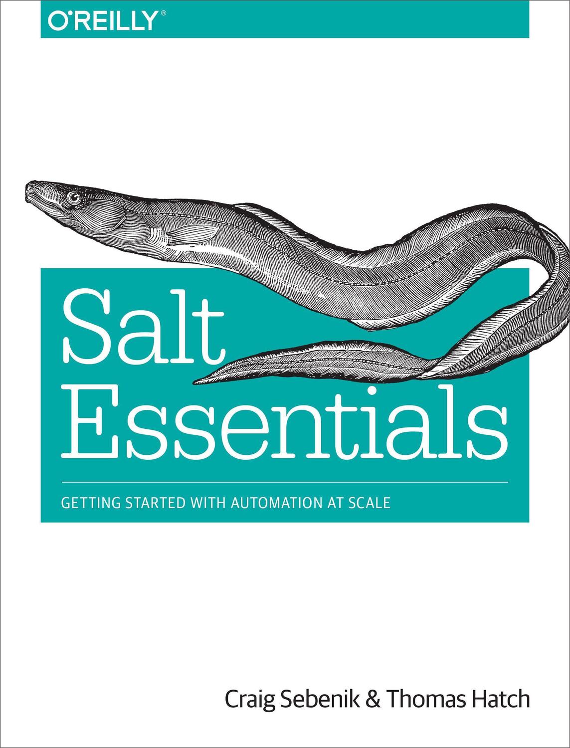 Cover: 9781491900635 | Salt Essentials: Getting Started with Automation at Scale | Buch