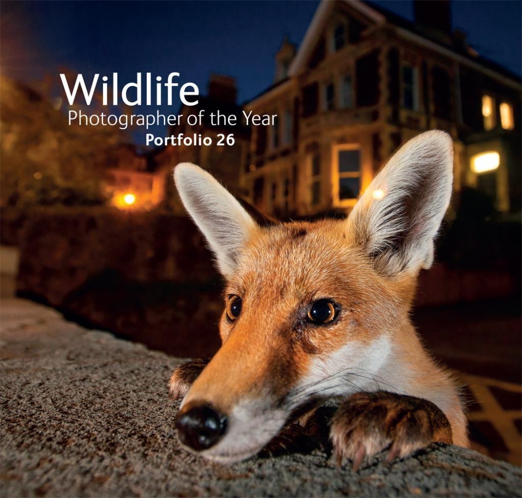 Cover: 9780565093952 | Wildlife Photographer of the Year: Portfolio 26 | Museum | Buch | 2016