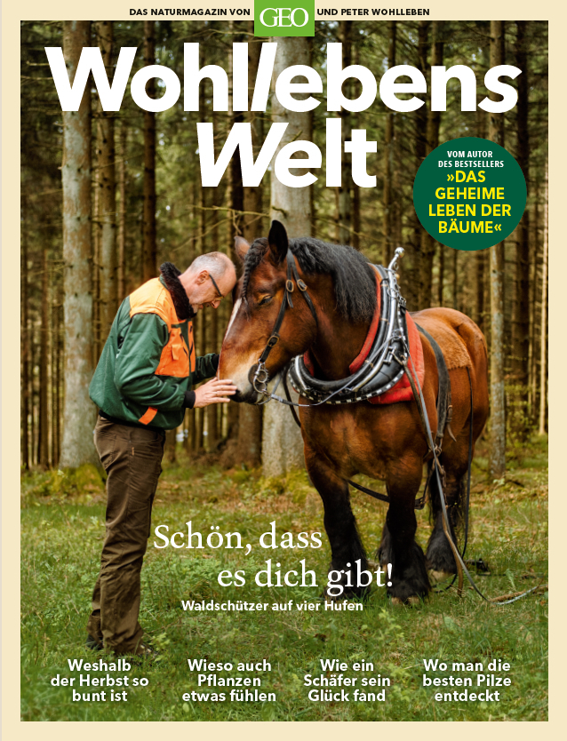 Cover: 9783652009270 | Wohllebens Welt / Wohllebens Welt - 3/2019 Neue Ideen für...
