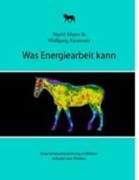 Cover: 9783839192863 | Was Energiearbeit kann | Sigrid Mayer (u. a.) | Taschenbuch