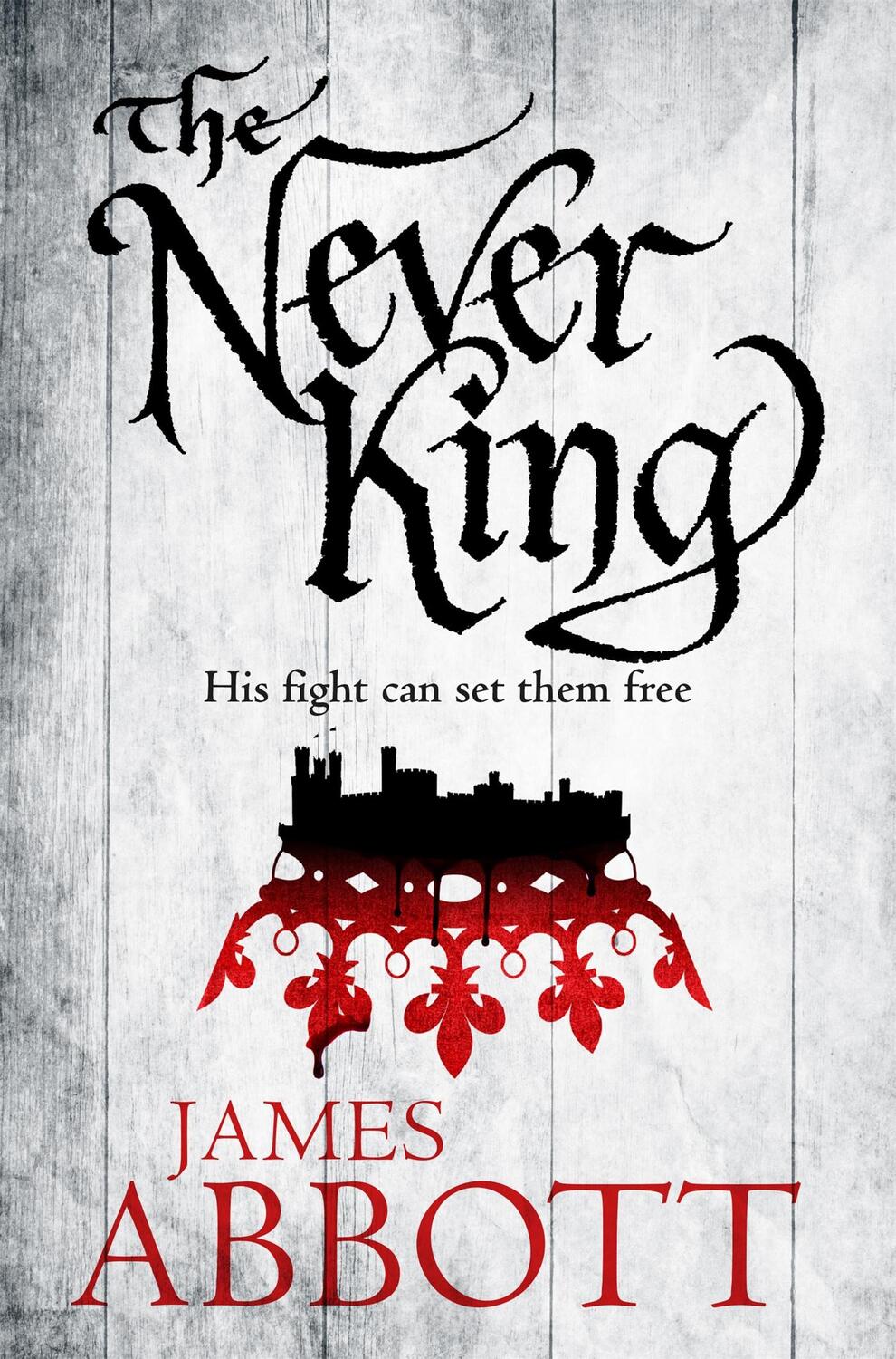Cover: 9781509803118 | The Never King | James Abbott | Taschenbuch | Englisch | 2017
