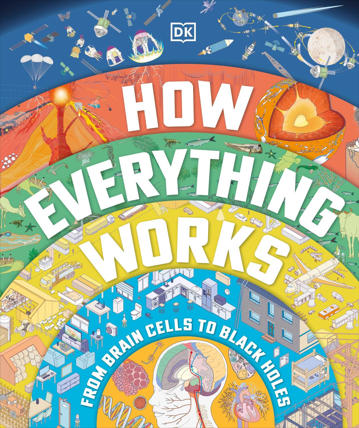 Cover: 9780241509234 | How Everything Works | From Brain Cells to Black Holes | DK | Buch