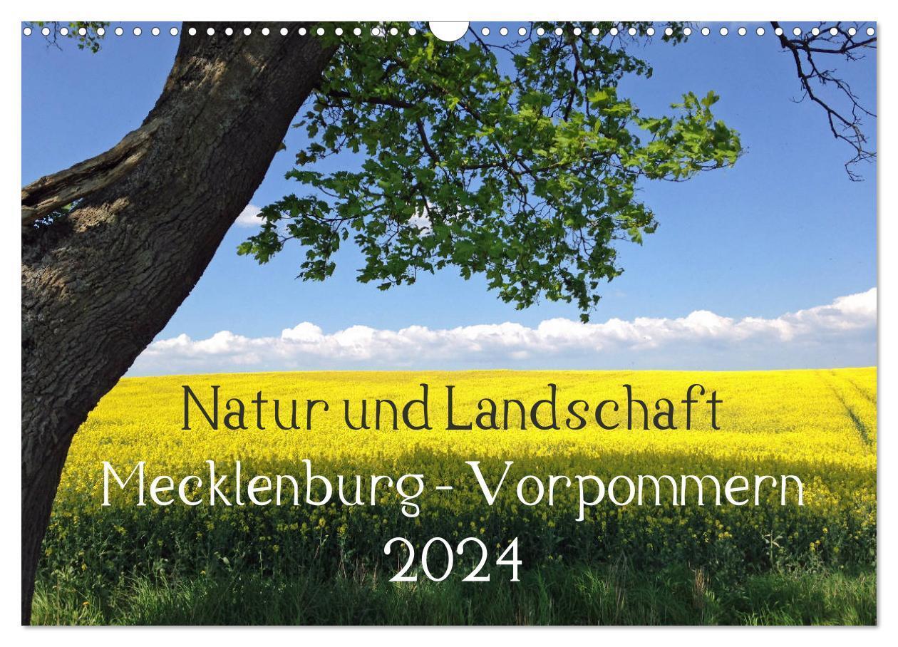 Cover: 9783675556669 | Natur und Landschaft Mecklenburg - Vorpommern 2024 (Wandkalender...