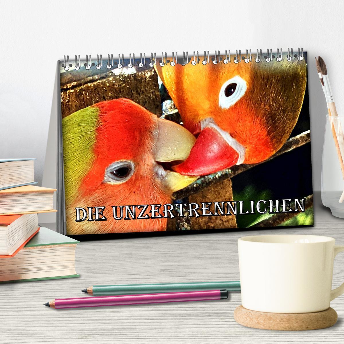 Bild: 9783457151556 | Die Unzertrennlichen (Tischkalender 2025 DIN A5 quer), CALVENDO...