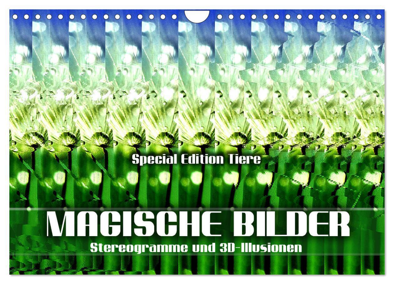 Cover: 9783675967342 | Magische Bilder - Stereogramme und 3D-Illusionen (Wandkalender 2024...
