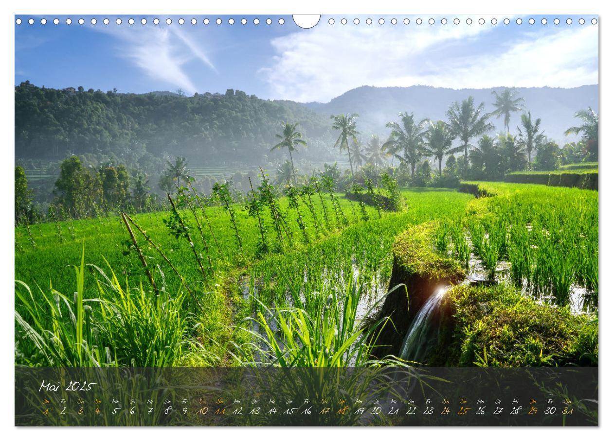 Bild: 9783383903625 | Bali Dreams - Inselzauber in Indonesien (Wandkalender 2025 DIN A3...