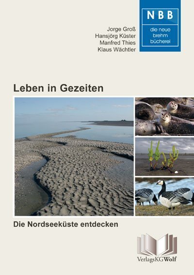 Cover: 9783894324353 | Leben in Gezeiten | Die Nordseeküste entdecken | Jorge Groß (u. a.)