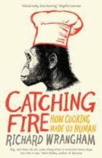 Cover: 9781846682865 | Catching Fire | How Cooking Made Us Human | Richard Wrangham | Buch