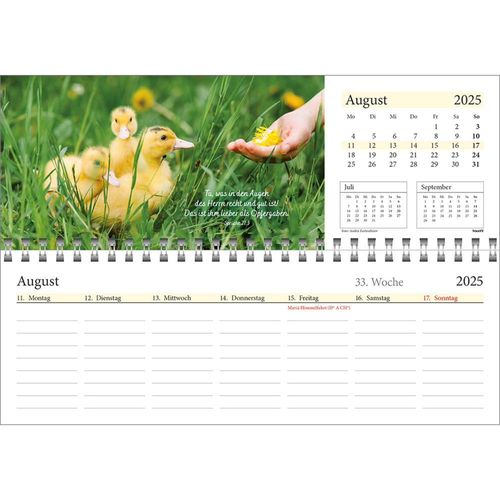 Bild: 9783754825457 | In deine Hand leg ich den Tag 2025 | Wochen-Tischkalender | Kalender