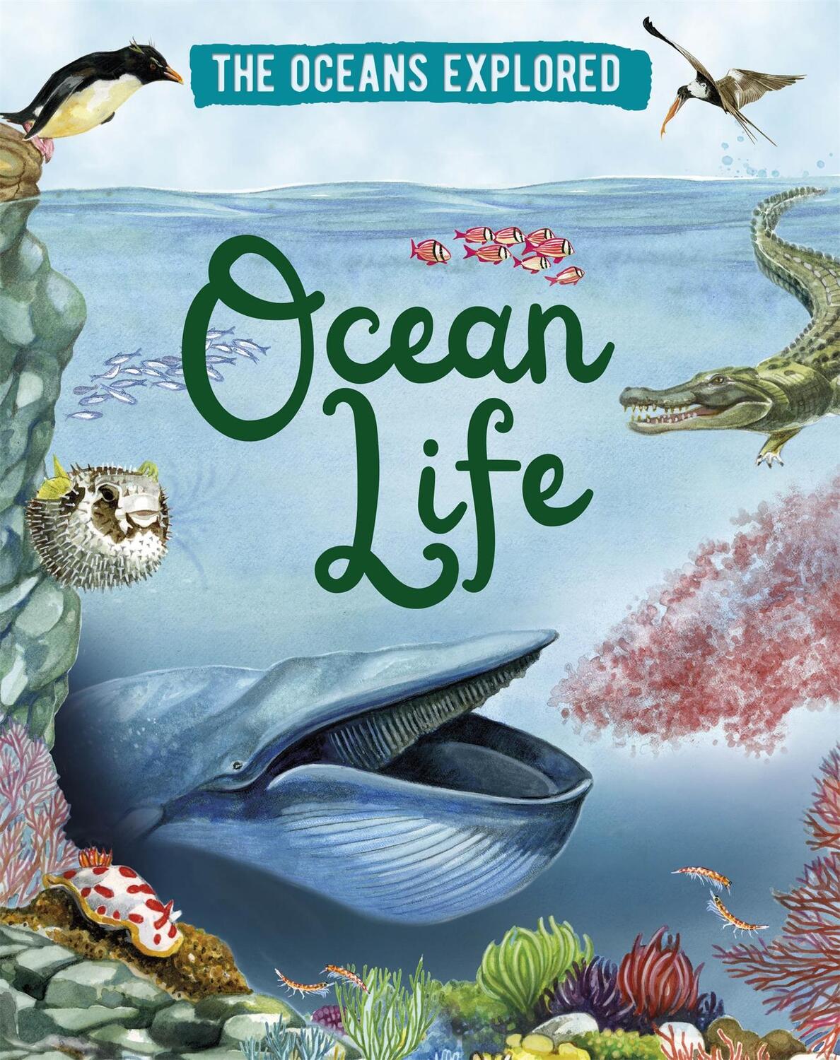 Cover: 9781526314314 | The Oceans Explored: Ocean Life | Claudia Martin | Buch | Gebunden