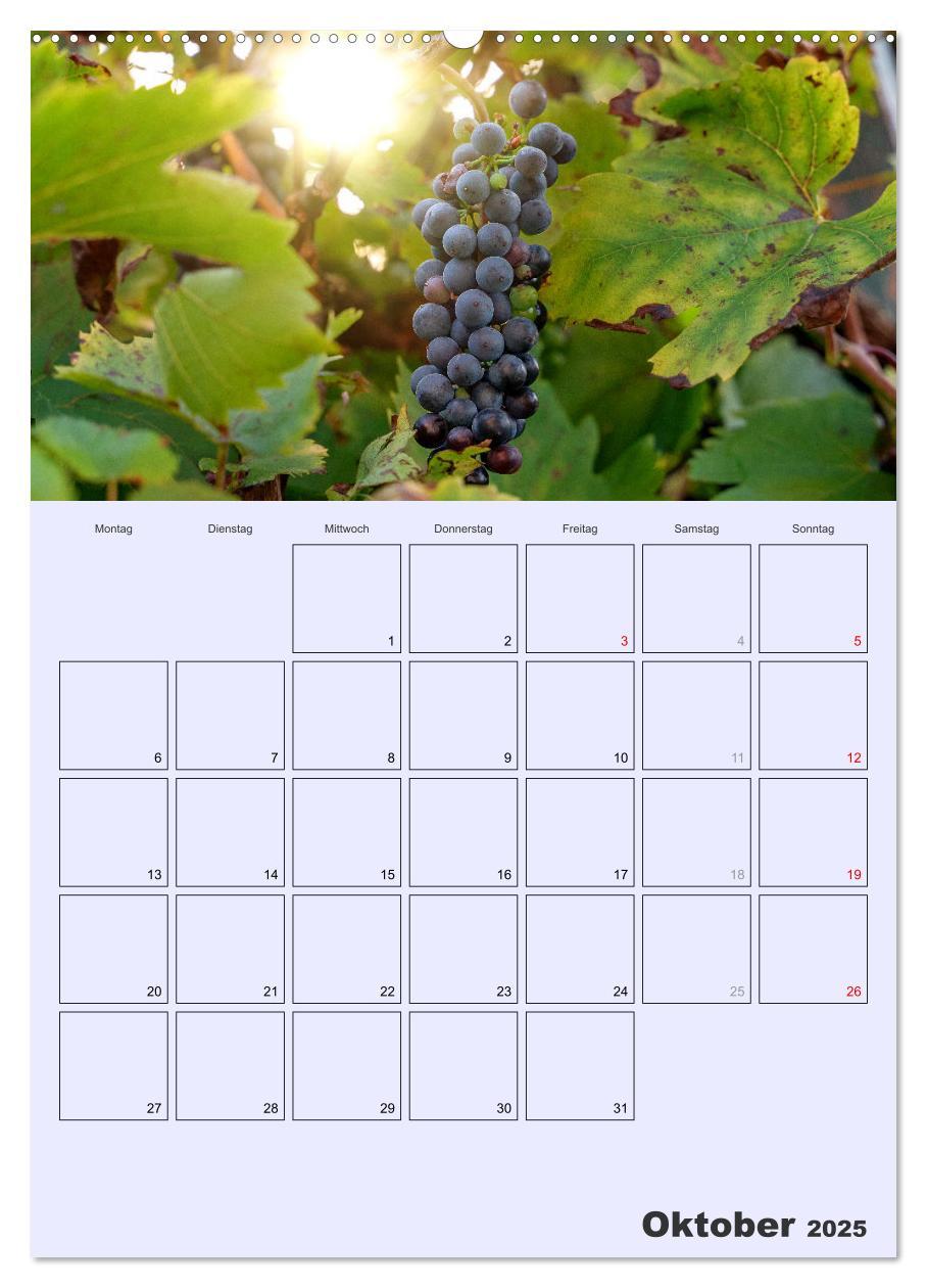 Bild: 9783457185285 | Obst Kalender - GESUND DURCH DAS JAHR (Wandkalender 2025 DIN A2...