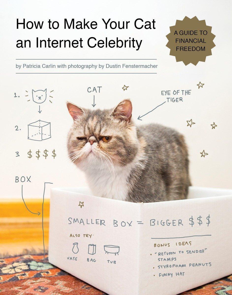 Cover: 9781594746796 | How to Make Your Cat an Internet Celebrity | Patricia Carlin | Buch