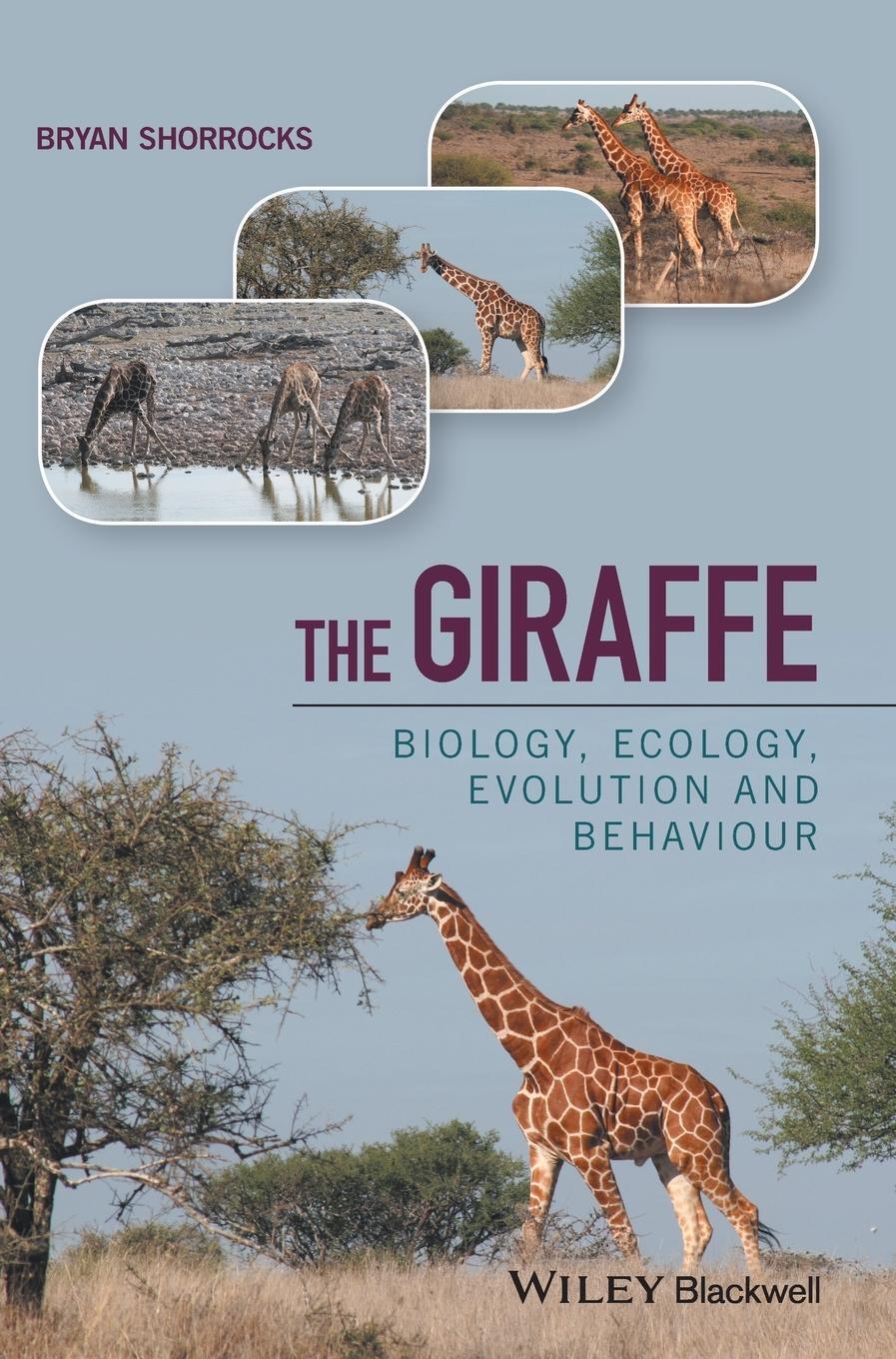 Cover: 9781118587478 | Giraffe C | Shorrocks | Buch | HC gerader Rücken kaschiert | 232 S.