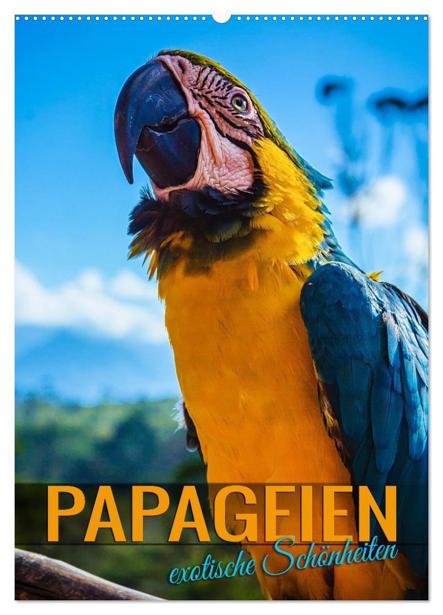 Cover: 9783435886524 | Papageien - exotische Schönheiten (Wandkalender 2025 DIN A2 hoch),...