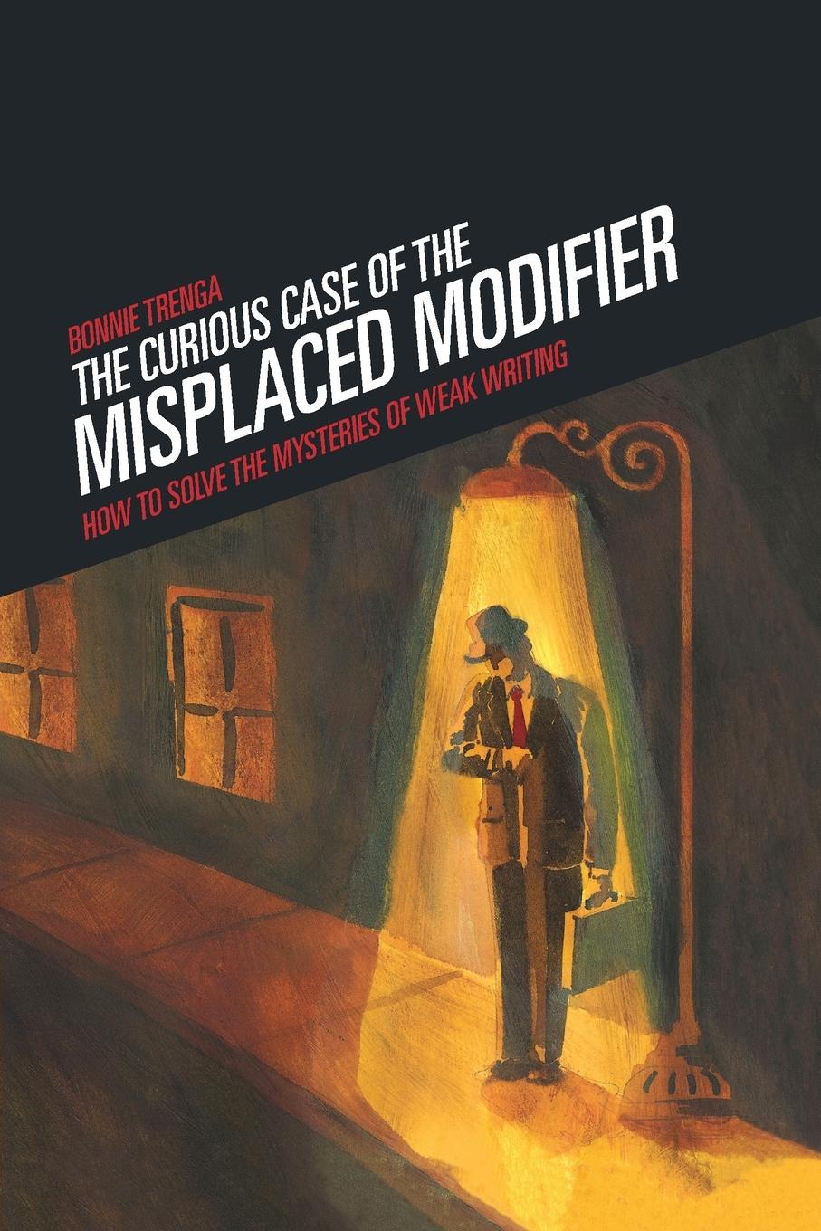 Cover: 9781582975610 | Curious Case of the Misplaced Modifier | Bonnie Trenga | Taschenbuch