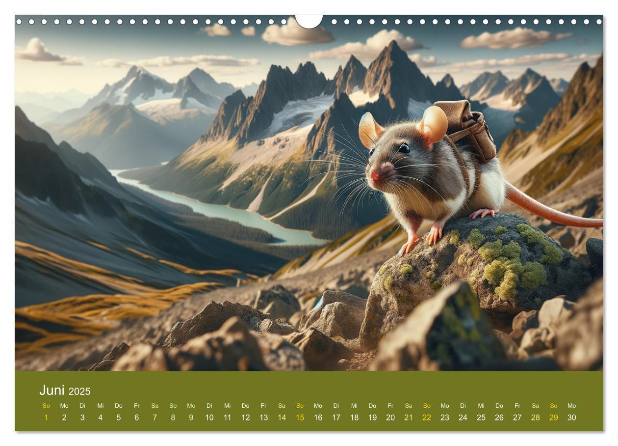 Bild: 9783383768637 | Abenteuerliche Ratten (Wandkalender 2025 DIN A3 quer), CALVENDO...