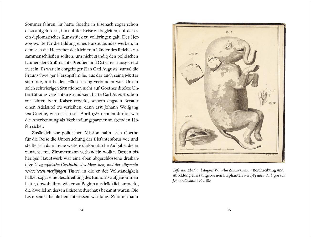 Bild: 9783458194897 | Goethes Elefanten | Oliver Matuschek | Buch | Insel-Bücherei | 110 S.