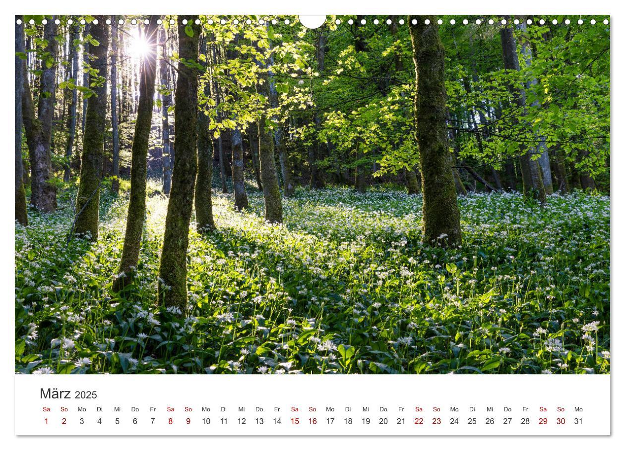 Bild: 9783457235461 | Sauerland - hier muss man mal gewesen sein (Wandkalender 2025 DIN...