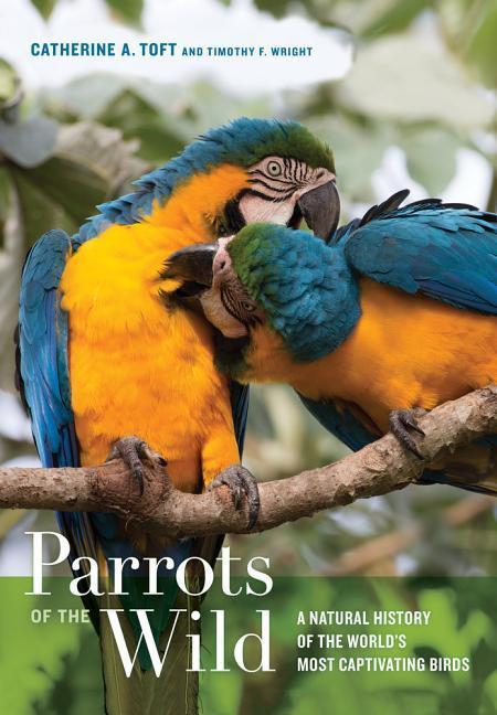 Cover: 9780520239258 | Parrots of the Wild: A Natural History of the World's Most...