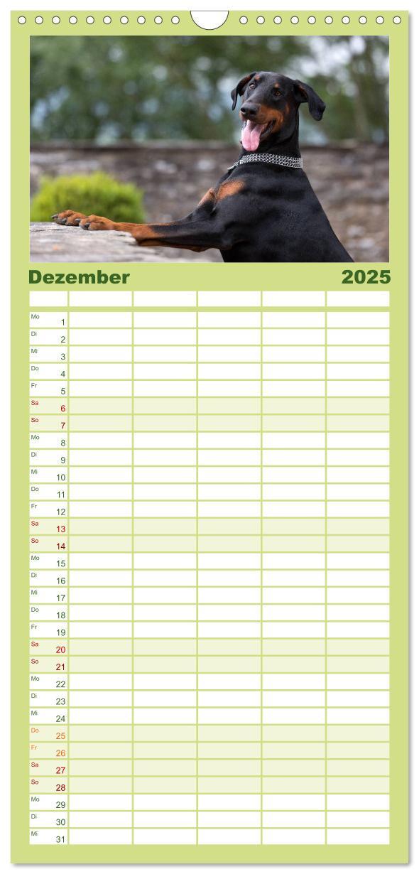 Bild: 9783457112137 | Familienplaner 2025 - Dobermann mit 5 Spalten (Wandkalender, 21 x...