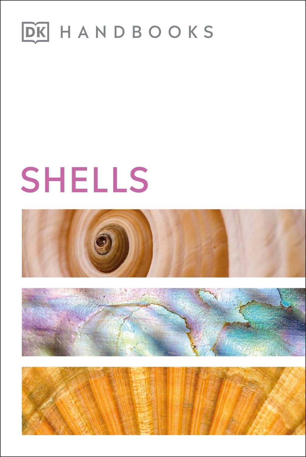 Cover: 9780241515518 | Shells | S. Peter Dance | Taschenbuch | Kartoniert / Broschiert | 2022