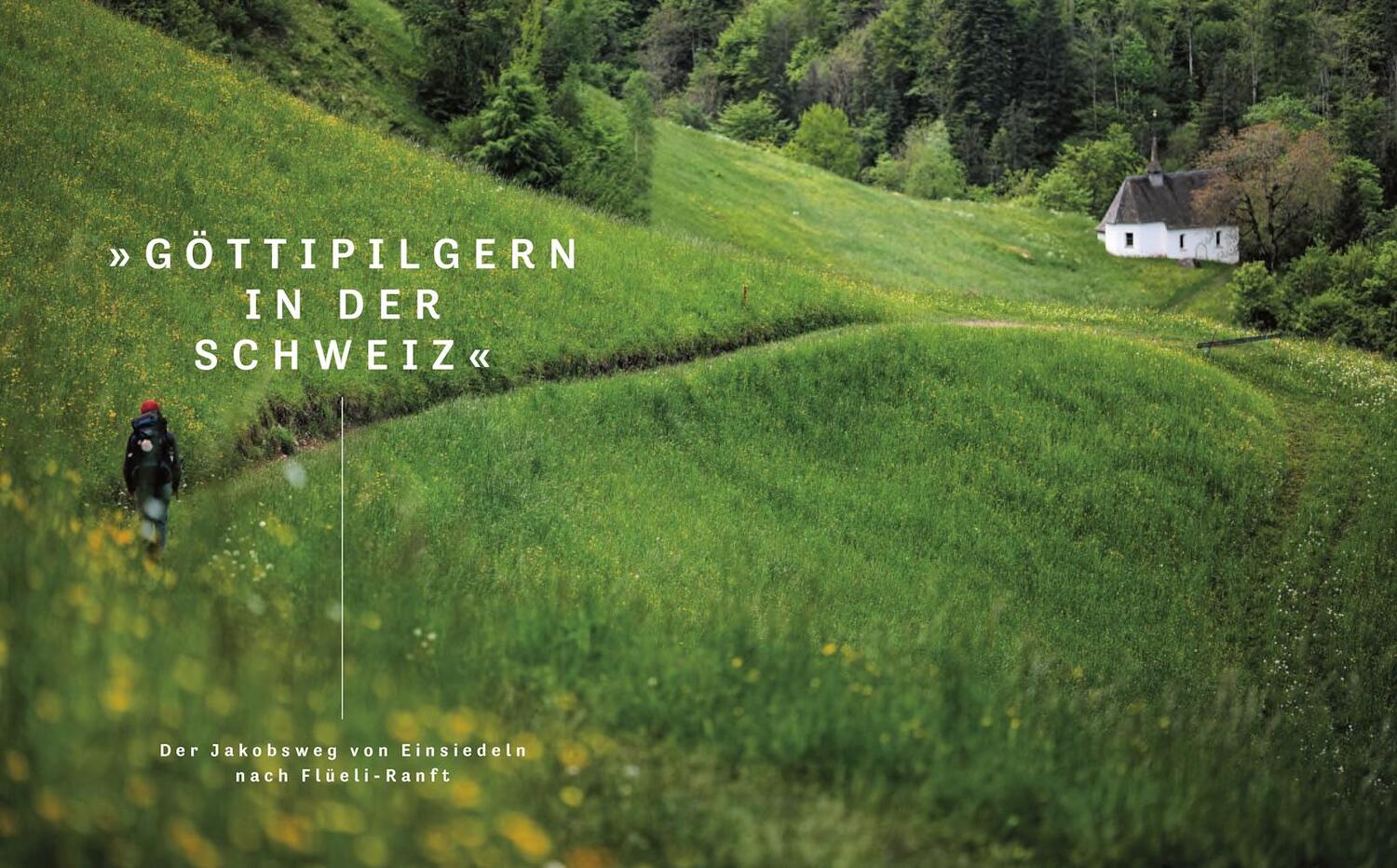 Bild: 9783957286376 | Hoch und heilig | Pilgern in den Alpen | Sandra Freudenberg | Buch