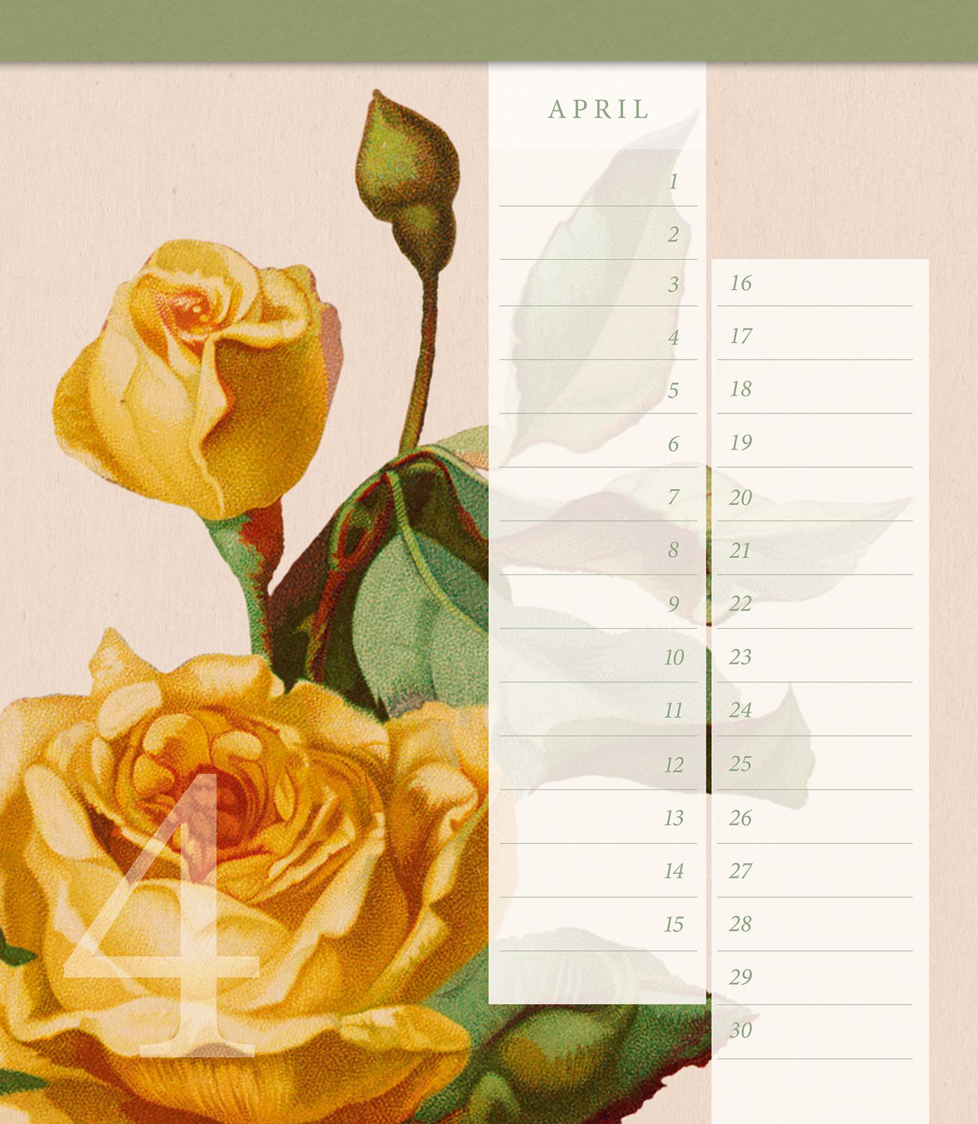 Bild: 4250915935348 | Geschichte der Rose Geburtstagskalender | Kalender | 16 S. | Deutsch