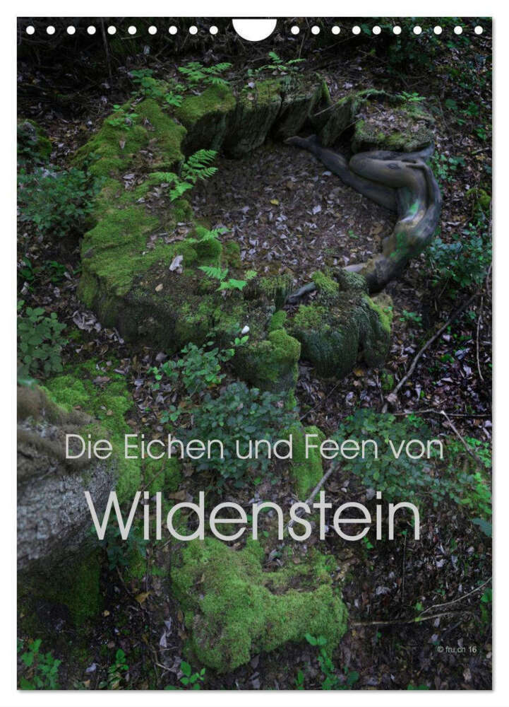 Cover: 9783383224317 | Die Eichen und Feen von Wildenstein (Wandkalender 2024 DIN A4...