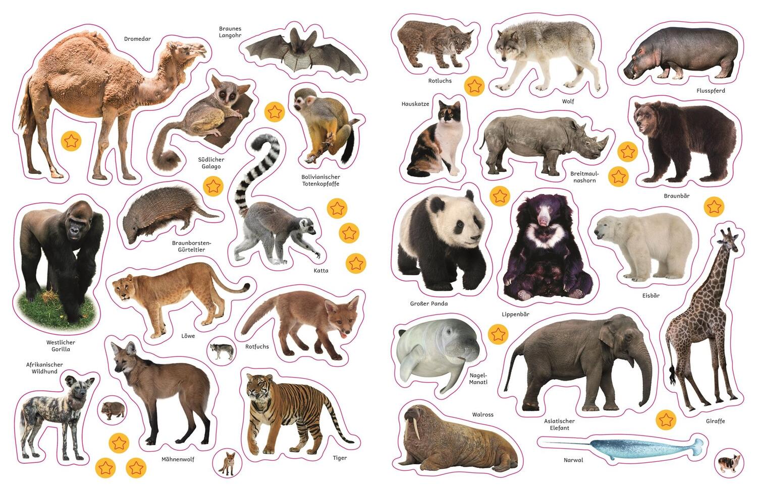 Bild: 9783831040520 | Sticker-Lexikon. Tiere | Mit über 600 Stickern für Kinder ab 4 Jahren