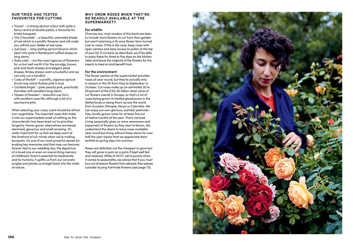 Bild: 9781911682011 | How to Grow the Flowers | Camila Romain (u. a.) | Buch | Gebunden