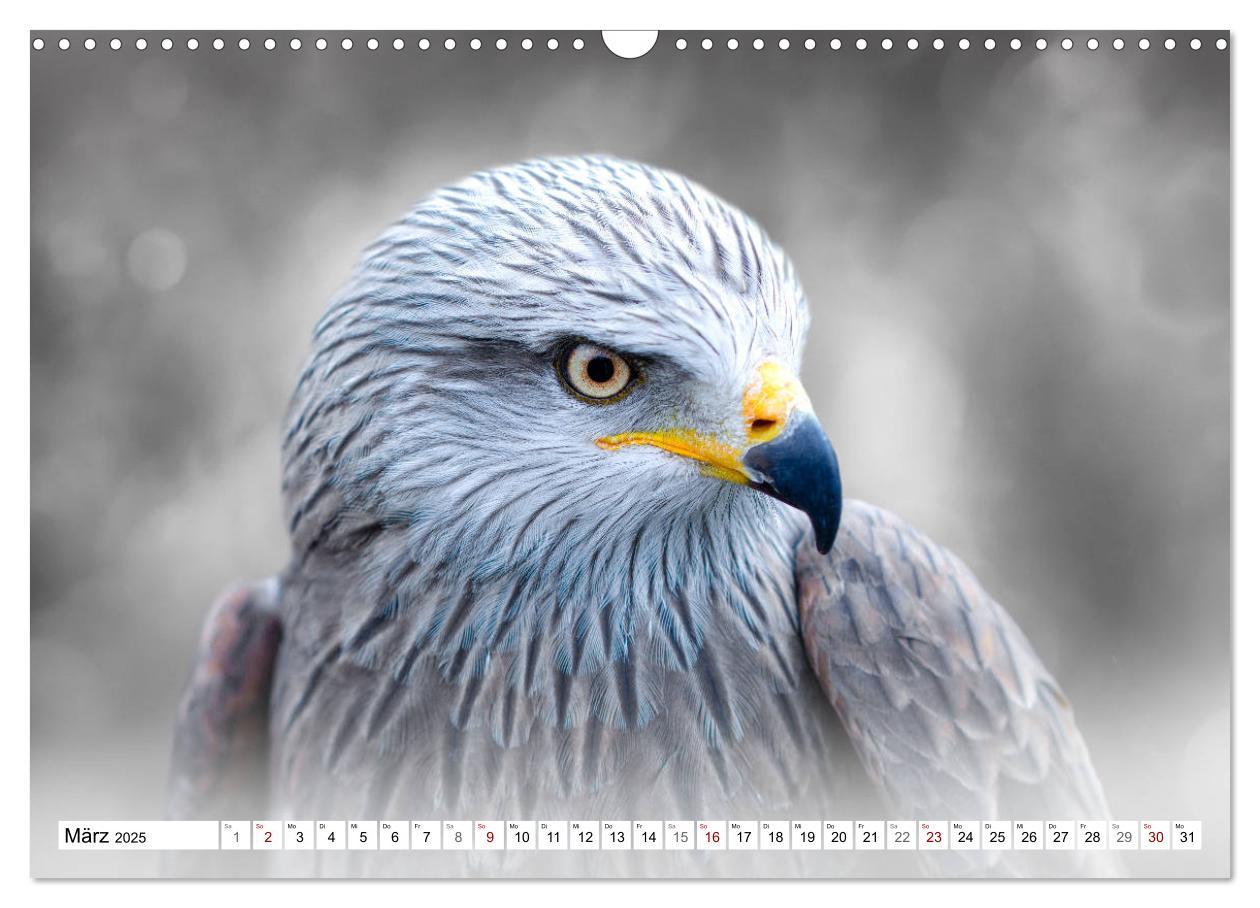 Bild: 9783435142385 | Erfolgreiche Jäger (Wandkalender 2025 DIN A3 quer), CALVENDO...