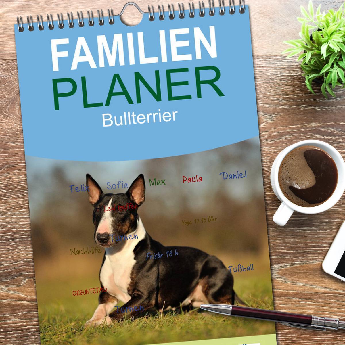 Bild: 9783457111611 | Familienplaner 2025 - Bullterrier 2025 - Kleine Clowns mit großem...