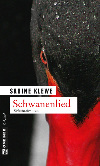 Cover: 9783839214282 | Schwanenlied | Kriminalroman. Der fünfte Fall für Katrin Sandmann