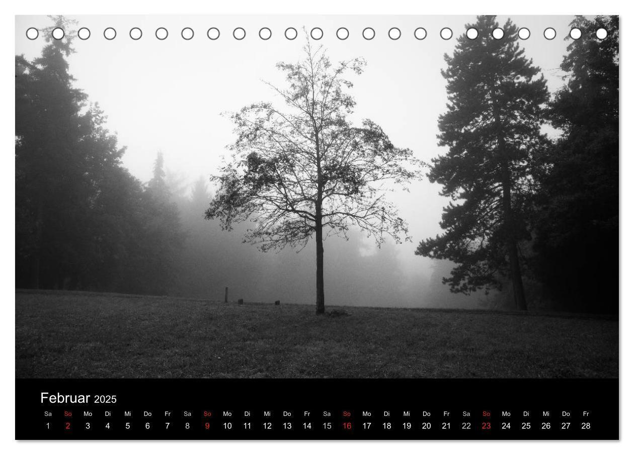 Bild: 9783435776924 | Bäume trees 2025 (Tischkalender 2025 DIN A5 quer), CALVENDO...