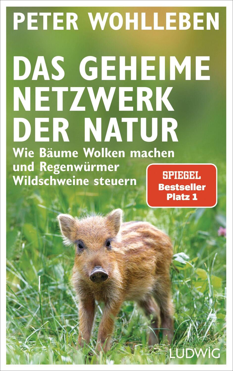 Cover: 9783453280960 | Das geheime Netzwerk der Natur | Peter Wohlleben | Buch | Deutsch