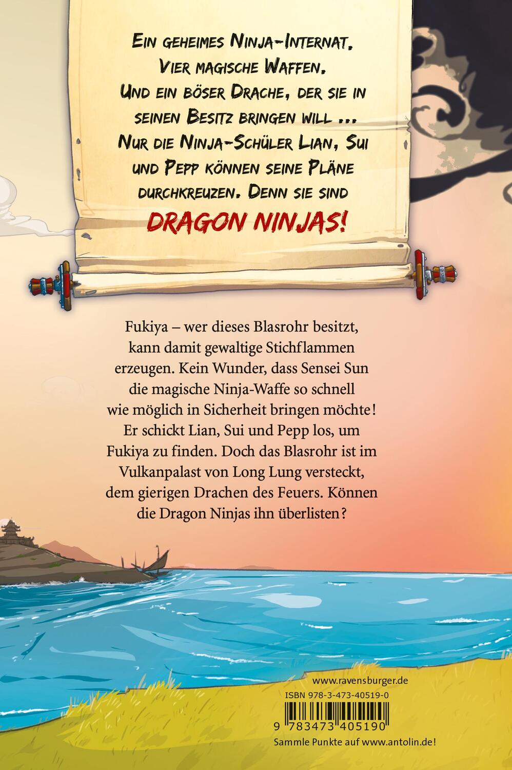 Rückseite: 9783473405190 | Dragon Ninjas, Band 2: Der Drache des Feuers | Michael Petrowitz