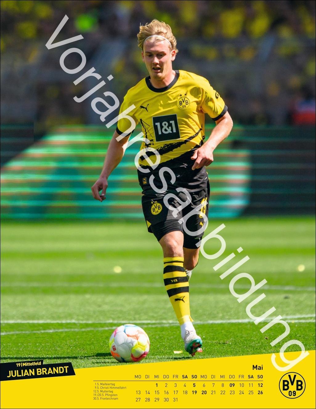 Bild: 9783756405435 | BVB Posterkalender 2025 | Heye | Kalender | Bundesliga Kalender Heye