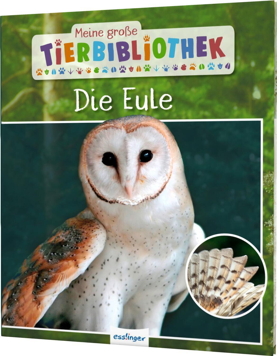 Cover: 9783480235742 | Meine große Tierbibliothek: Die Eule | Jens Poschadel | Buch | 32 S.