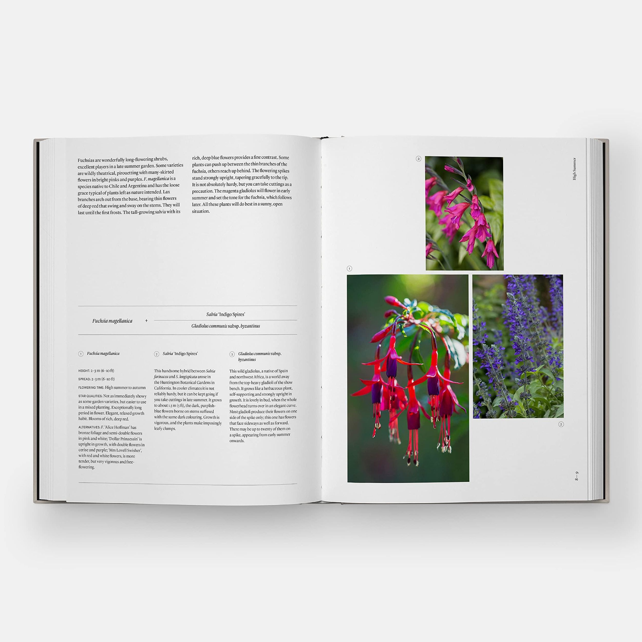 Bild: 9781838663988 | The Seasonal Gardener | Creative Planting Combinations | Anna Pavord