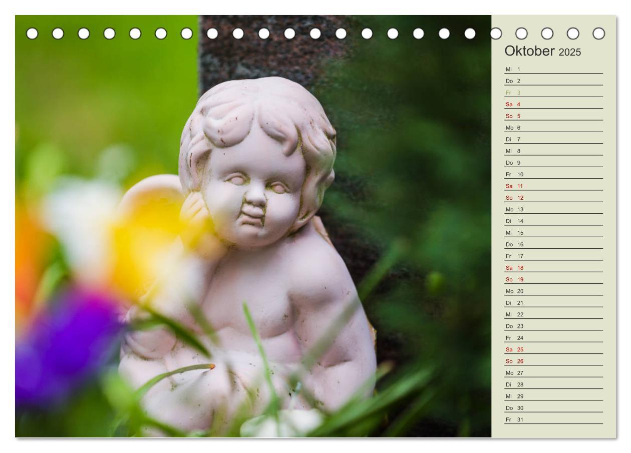 Bild: 9783435370818 | Engel - Begleiter für jeden Tag (Tischkalender 2025 DIN A5 quer),...