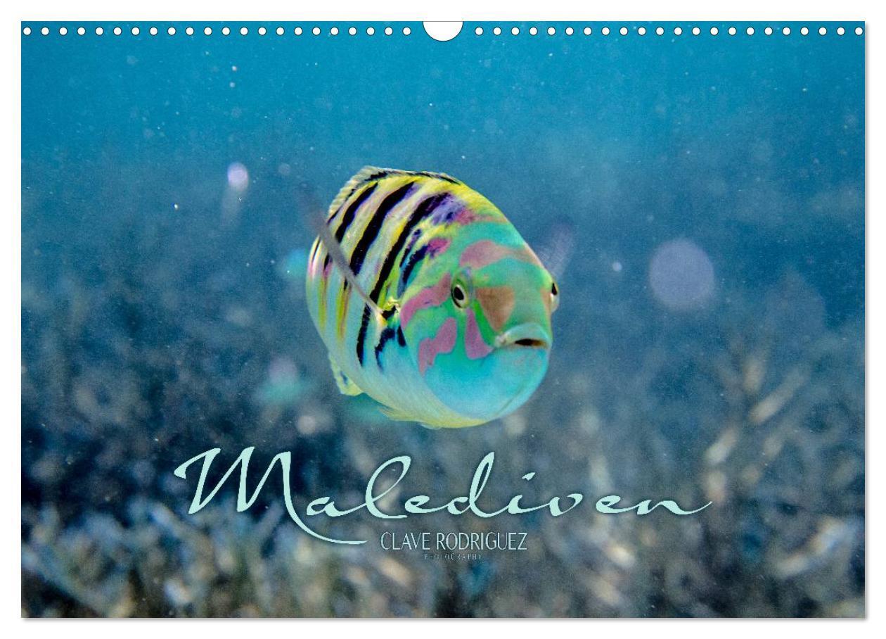 Cover: 9783383602887 | Unterwasserwelt der Malediven II (Wandkalender 2024 DIN A3 quer),...