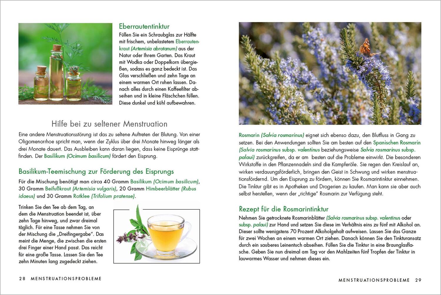 Bild: 9783809443292 | Kräuter und Heilpflanzen für Frauen: Tees, Tinkturen und Salben aus...