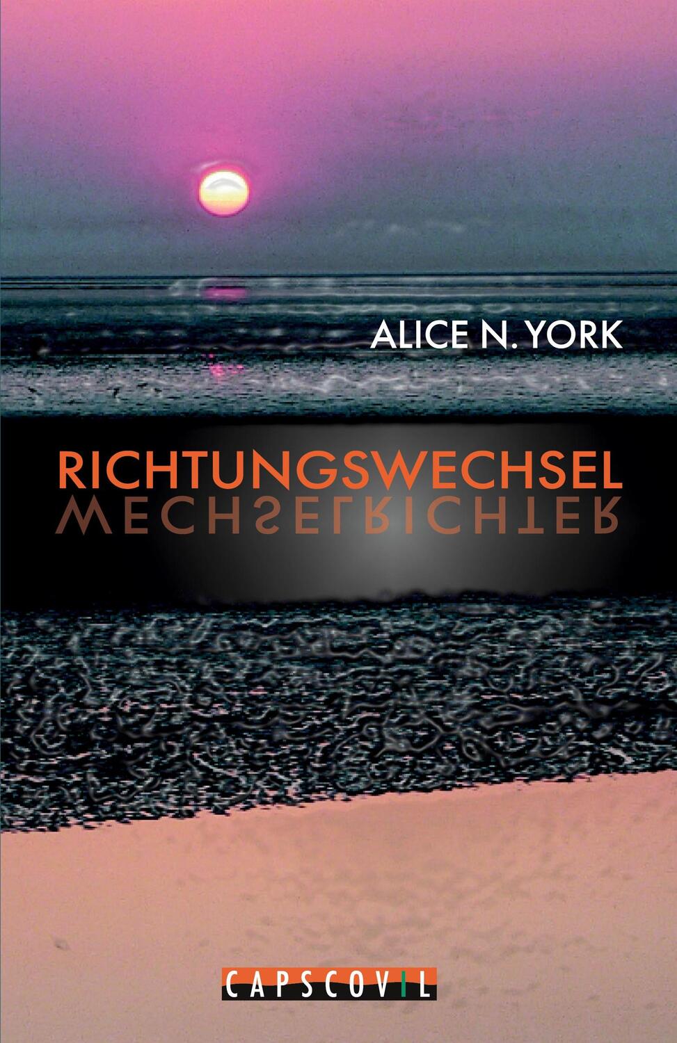 Cover: 9783942358002 | Richtungswechsel | Diversity-Roman | Alice N York | Taschenbuch | 2010