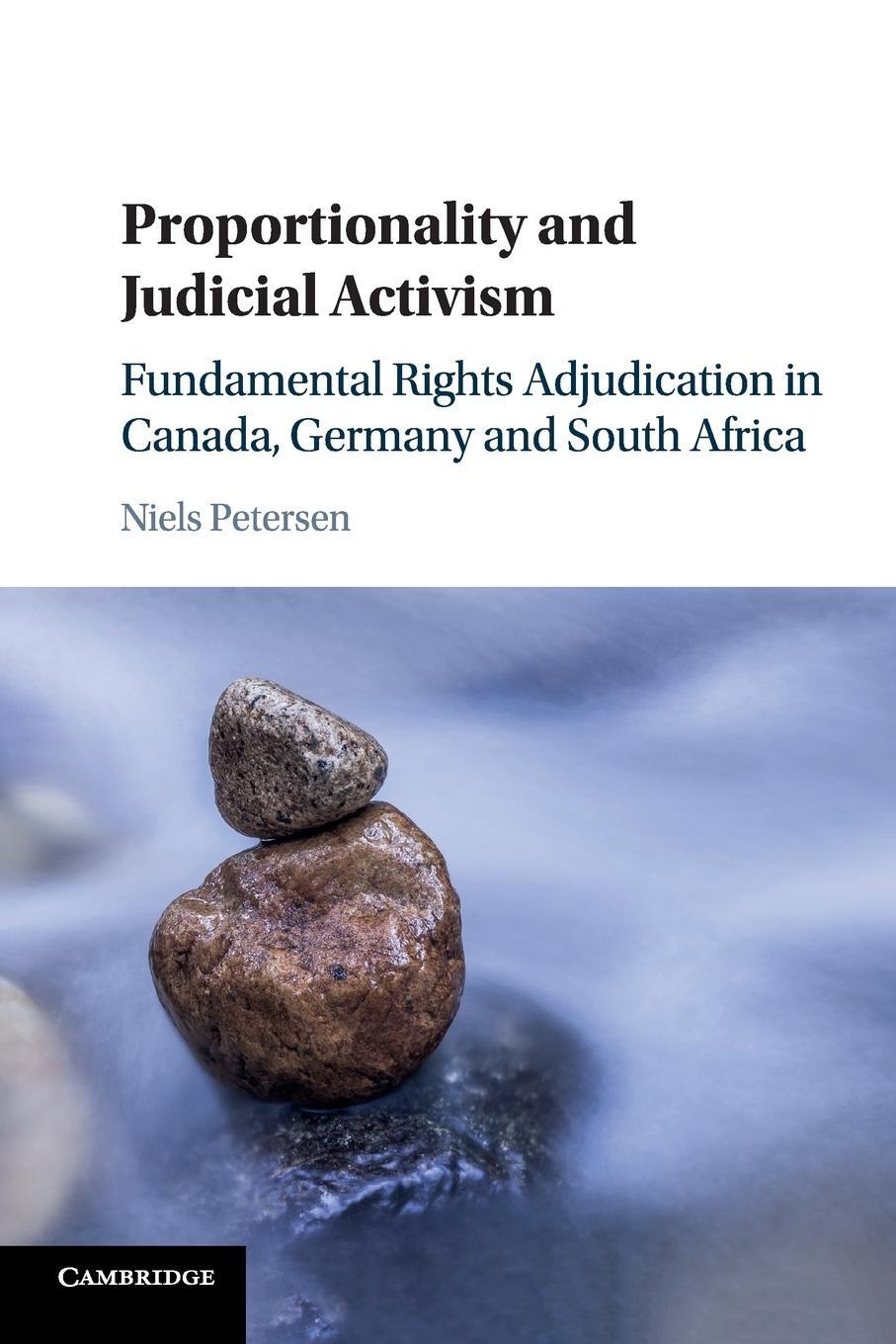 Cover: 9781316630822 | Proportionality and Judicial Activism | Niels Petersen | Taschenbuch