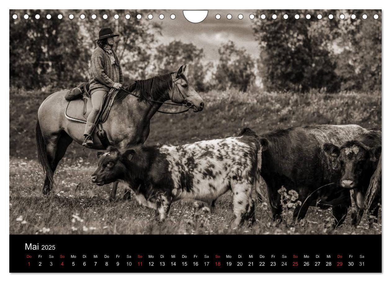 Bild: 9783435570072 | Westernreiten (Wandkalender 2025 DIN A4 quer), CALVENDO Monatskalender