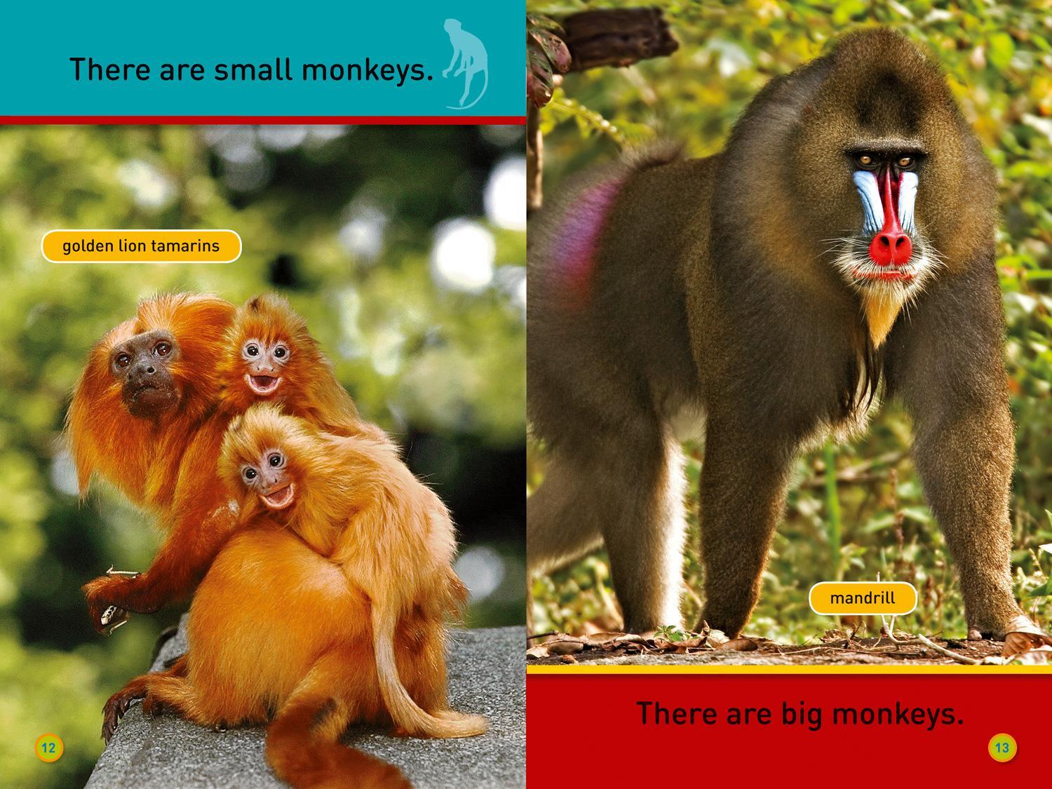 Bild: 9780008266486 | Hang On, Monkey! | Level 1 | Susan B. Neuman (u. a.) | Taschenbuch