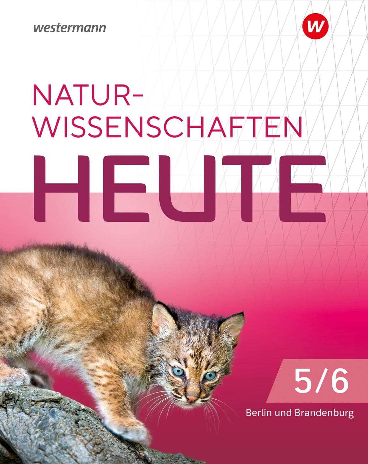 Cover: 9783141519822 | für die grundständigen Gymnasien in Berlin und Brandenburg für die...