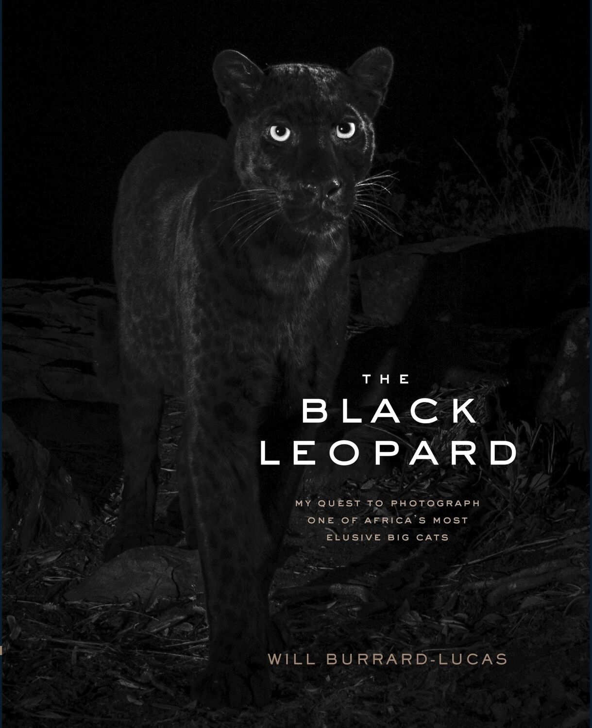 Cover: 9781797202914 | The Black Leopard | Will Burrard-Lucas | Buch | Englisch | 2021